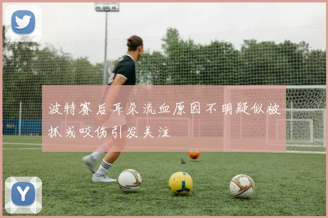 波特赛后耳朵流血原因不明疑似被抓或咬伤引发关注