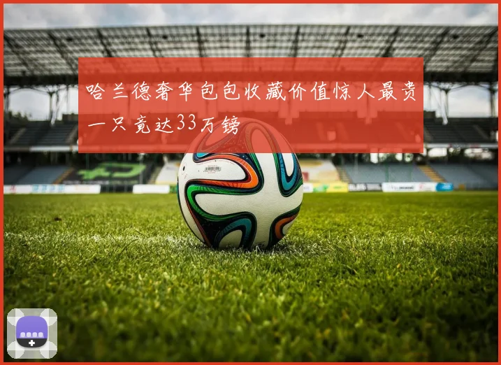 哈兰德奢华包包收藏价值惊人最贵一只竟达33万镑