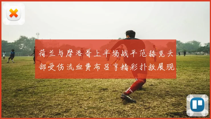荷兰与摩洛哥上半场战平范赫克头部受伤流血费布吕亨精彩扑救展现实力